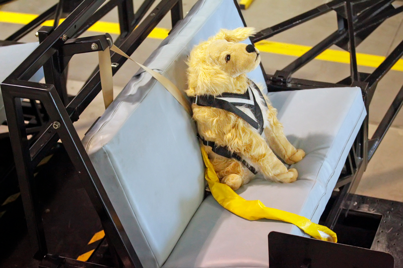 Illustration for article titled You Aren't Doing Enough To Keep Your Pet Safe In The Car